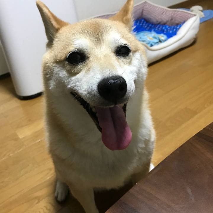 7e3a0a99 bbd8 4cb1 9886 dec269ea954f 1531655694998