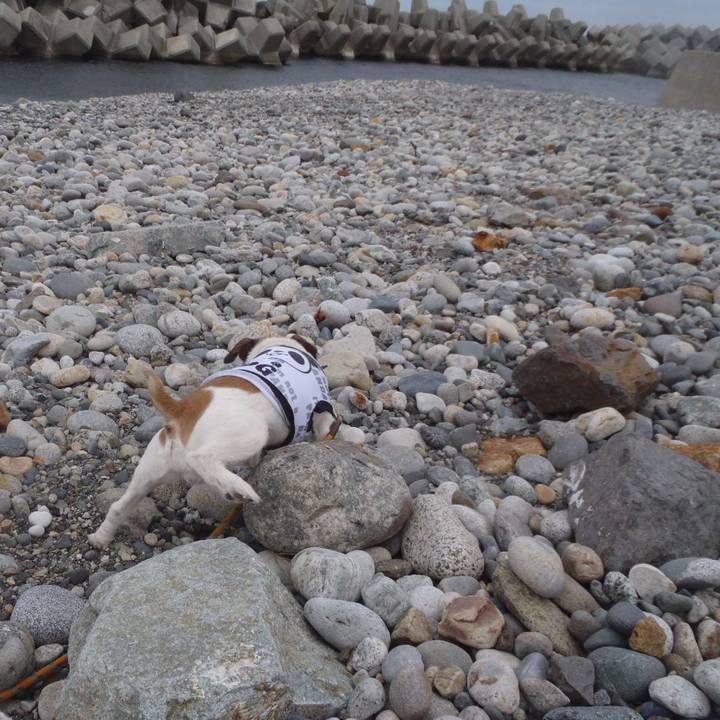 7e3a116f 573d 4089 ade4 8b908ecf0cc6 1511526119944