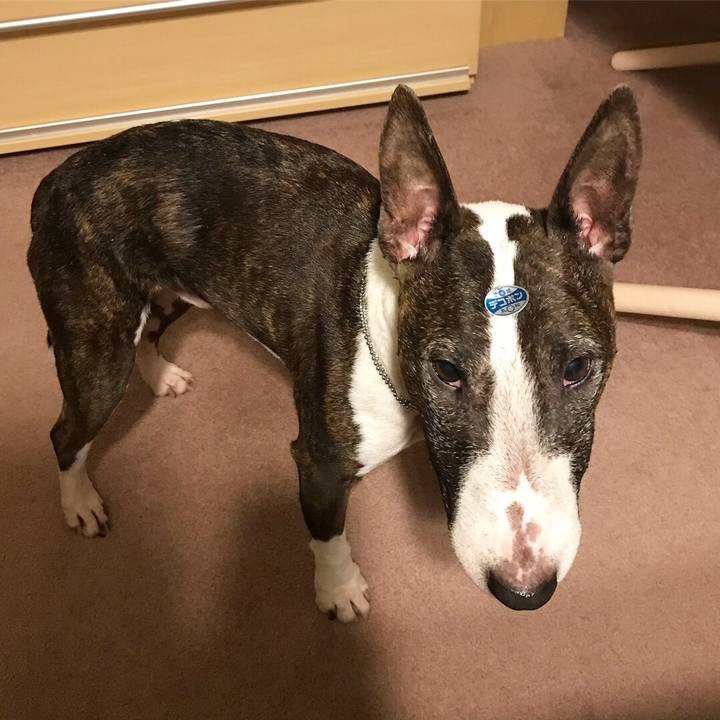 7e3a4452 6cd9 4630 9d7f 483c261c6a9f 1520587077865