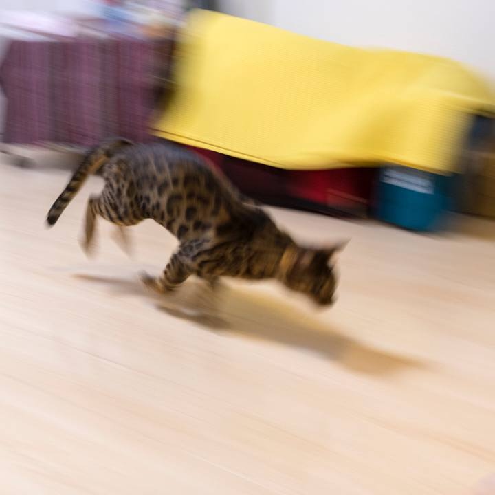 7e3a6dfc fda2 41f5 bc16 b8401412abb4 1522939638436