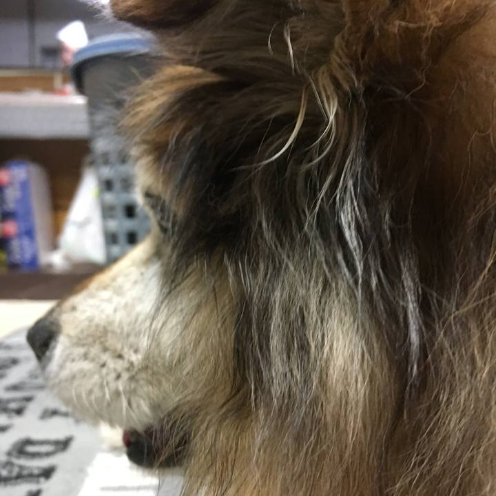 7e3a820e 06e7 4340 b0da f4611b30f058 1590286704877