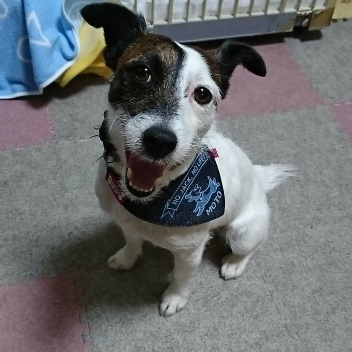 7e3aa3c9 8883 4961 9c0b 55d5f679e283 1525179277195