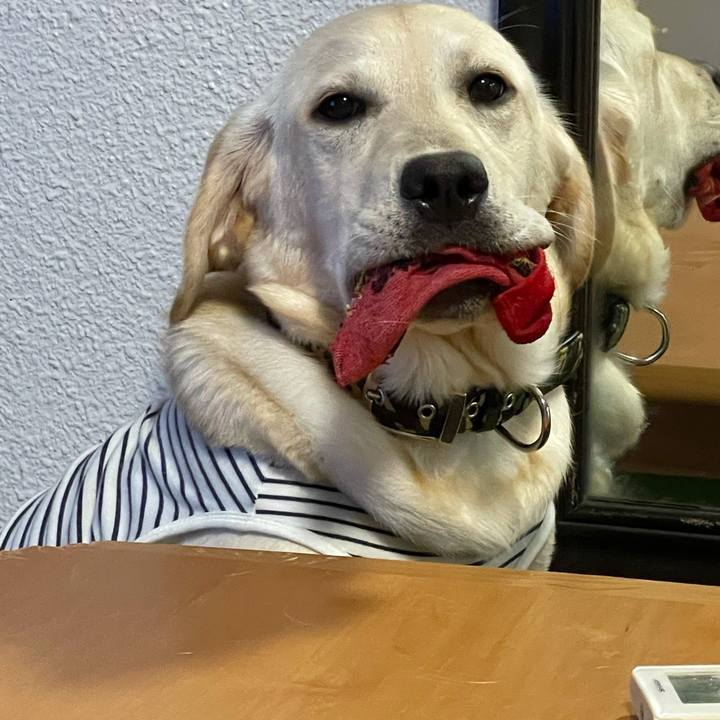 7e3acf60 20ee 4fbb a047 3324ede3f322 1621513305187