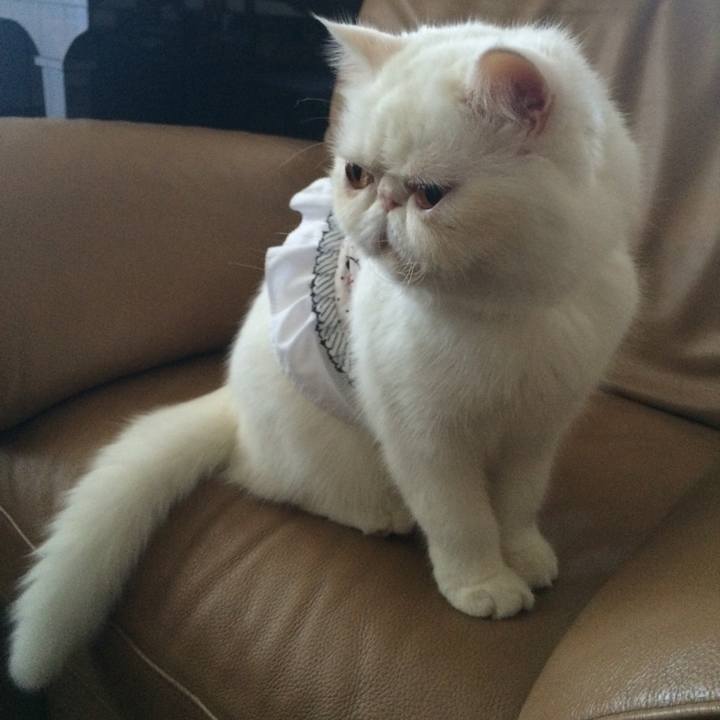 7e3b0cfb 0472 4336 be25 b9cbd9e66827 1526894328892