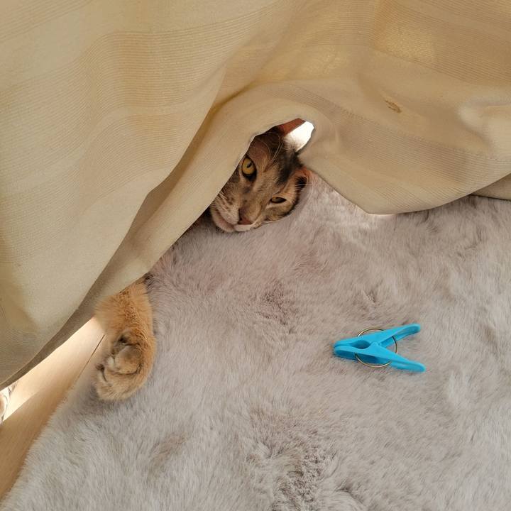 7e3b0f43 eae8 448d 8f23 8702d17c4d98 1641297125024