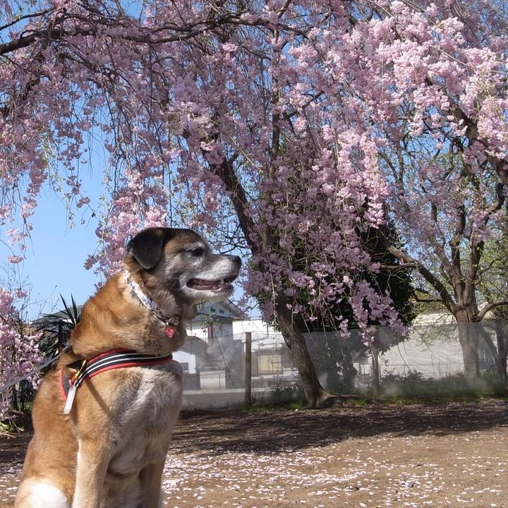 7e3b30f4 fe73 4b32 86fe 753cd403bc88 1603671857915