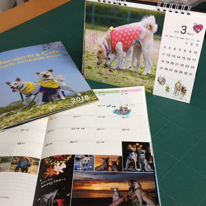 7e3b3bdb 4781 4946 acf2 e7ba22baee50 1514299515372