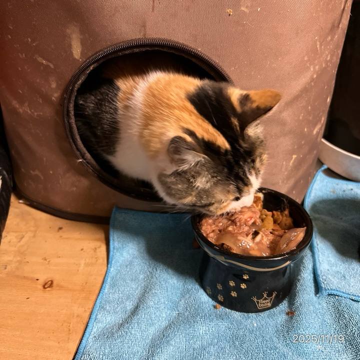 7e3b7ea2 7b07 4476 8767 7f2a2246ab2c 1763505627343