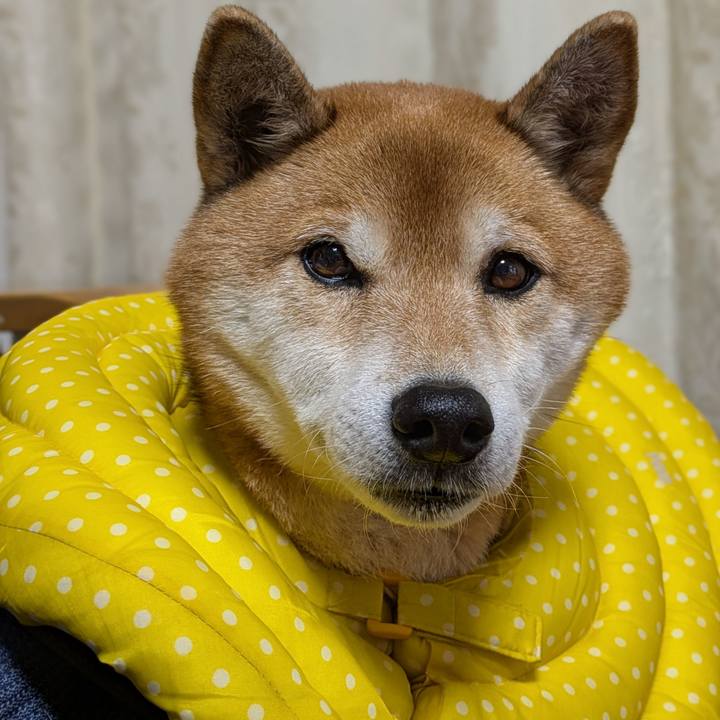 7e3b7eb6 2622 4e93 b29d fe64792249e5 1735624679008