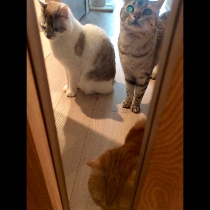 7e3bd9a1 848f 4b95 a923 26b4cab2a74a 1520148532469