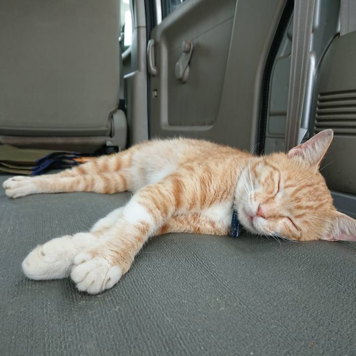 7e3bf1b8 d380 4516 bd15 1f9239adeb2a 1561787508405