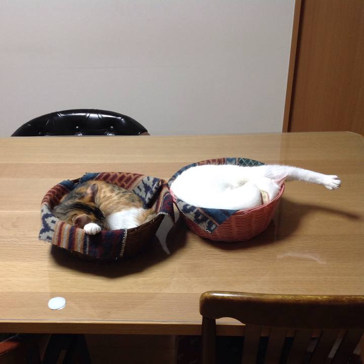 7e3c0103 a92e 40ba ab3e 03c87bbc87d8 1630392904208