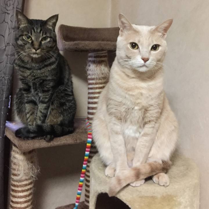 7e3c07f5 479c 4b18 bcbd 9be03555105c 1592999373070