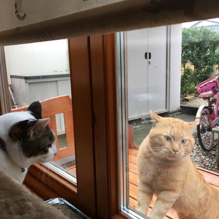 7e3c9f4c cadd 4b64 ad9b a1c6fc96bb0e 1508027546461