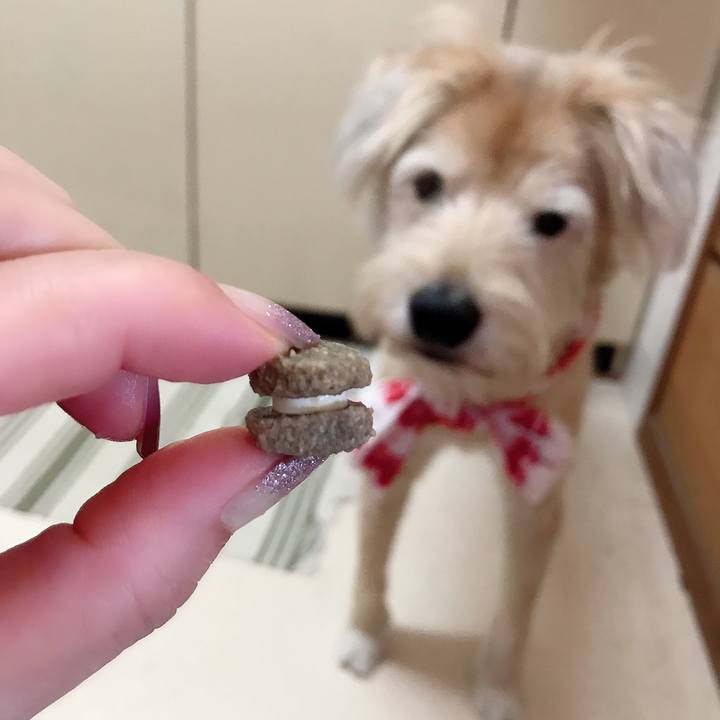 7e3c9f78 8465 416c 8dc5 7565b8f4fa2e 1597501215979