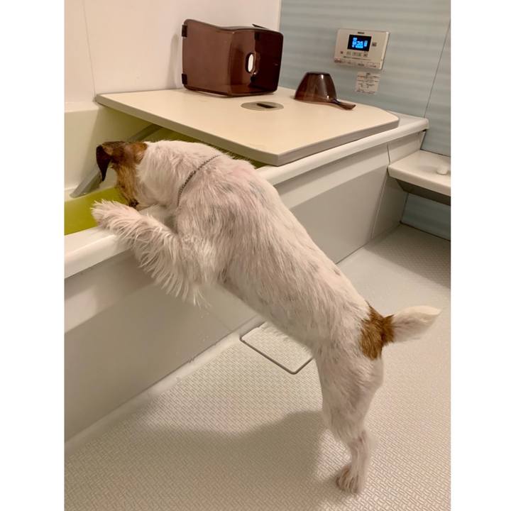 7e3cb99e 2b4d 48bf 9925 4981d931183f 1603632898807