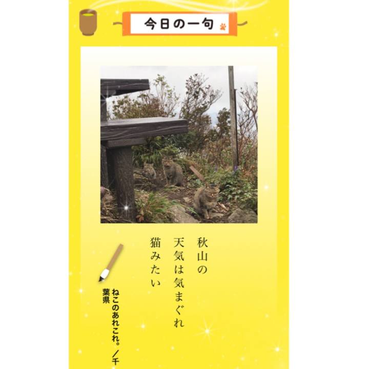 7e3cc6ff 5d24 48ee ba3f a6d579d7b70a 1544253241388