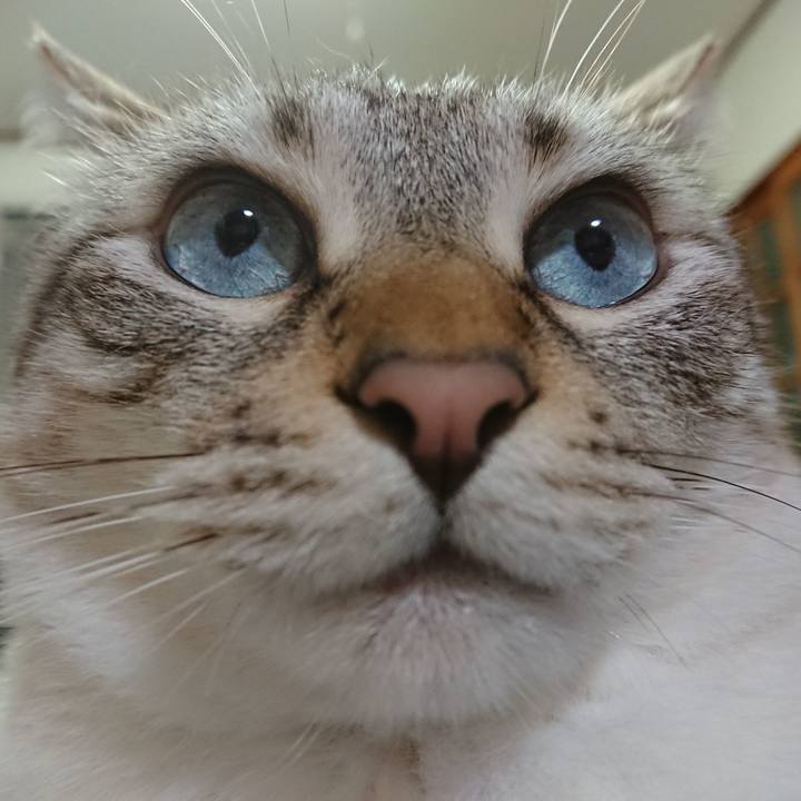 7e3d1714 3ed9 4aac a1ff dce44882cc26 1593173960309