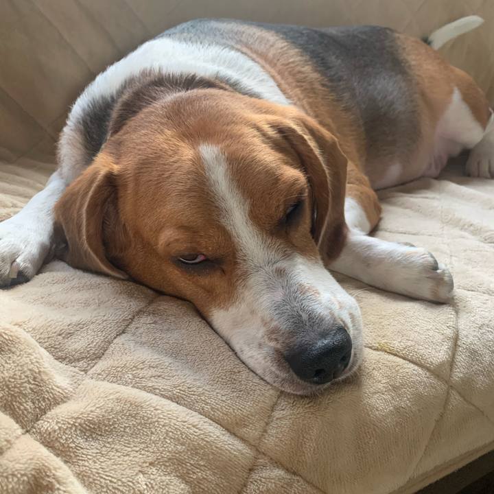 7e3d5553 c916 465e 865e faa864f193fb 1603257709378