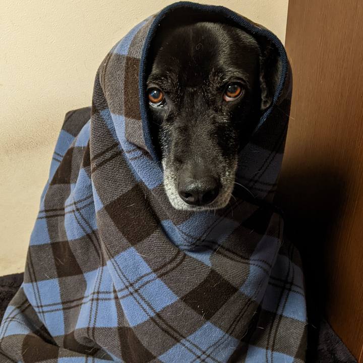 7e3e3220 2e60 4f32 880d f06a106a853f 1706266080220