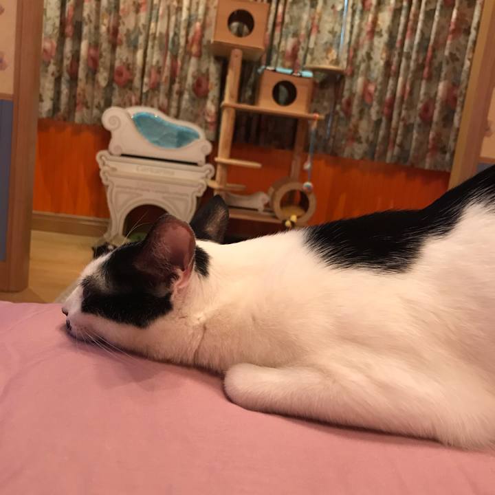 7e3e4e35 76d8 4b45 a915 607d2211726f 1542854449856