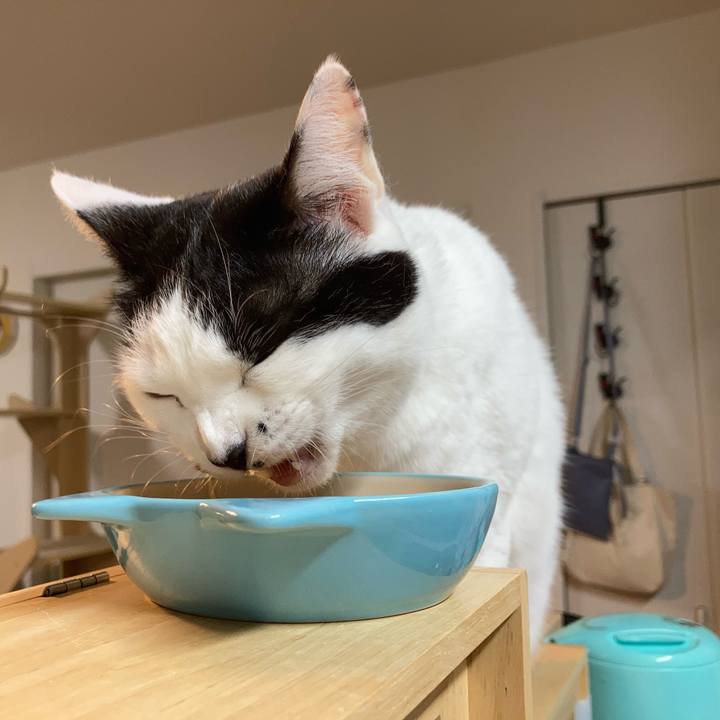 7e3e5baa a972 44e4 8701 9b391799991c 1763846215588