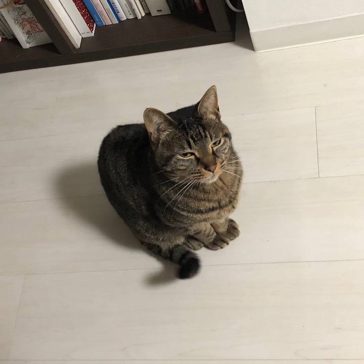 7e3e5cad 2583 4cfc af4f a24cb2b56b25 1525967081913