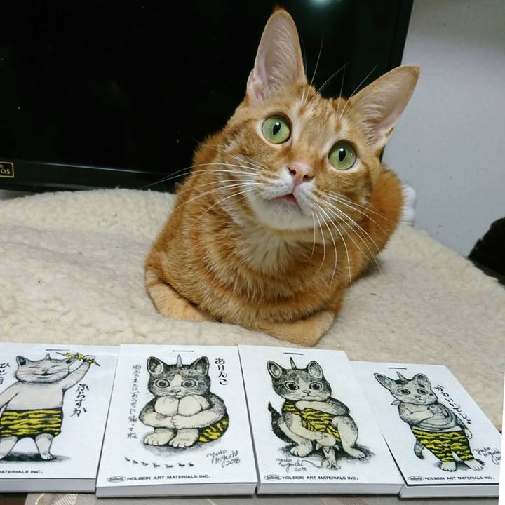 7e3e5e4c edc3 48b4 ad46 e02eed7c1dac 1548761128833