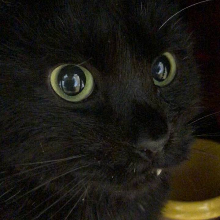 7e3e6e6c 6101 4e5f be73 d6a46fd0dd02 1644747857508