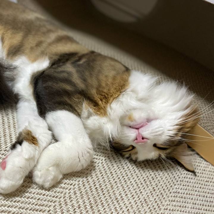 7e3ebf61 4fb3 4c7d a56b e755ab088c46 1659615957596