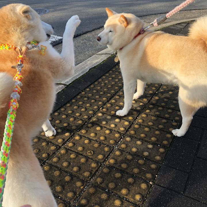 7e3f854a 3787 45a8 b937 2f94420f0732 1604365036328