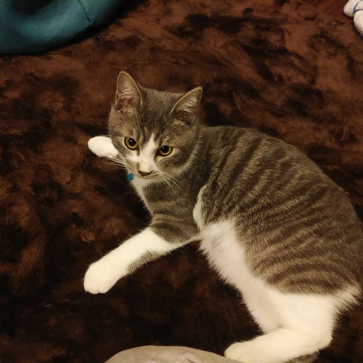 7e3f87c1 92f8 4b44 a90a e8aed3a07e7f 1574517411529