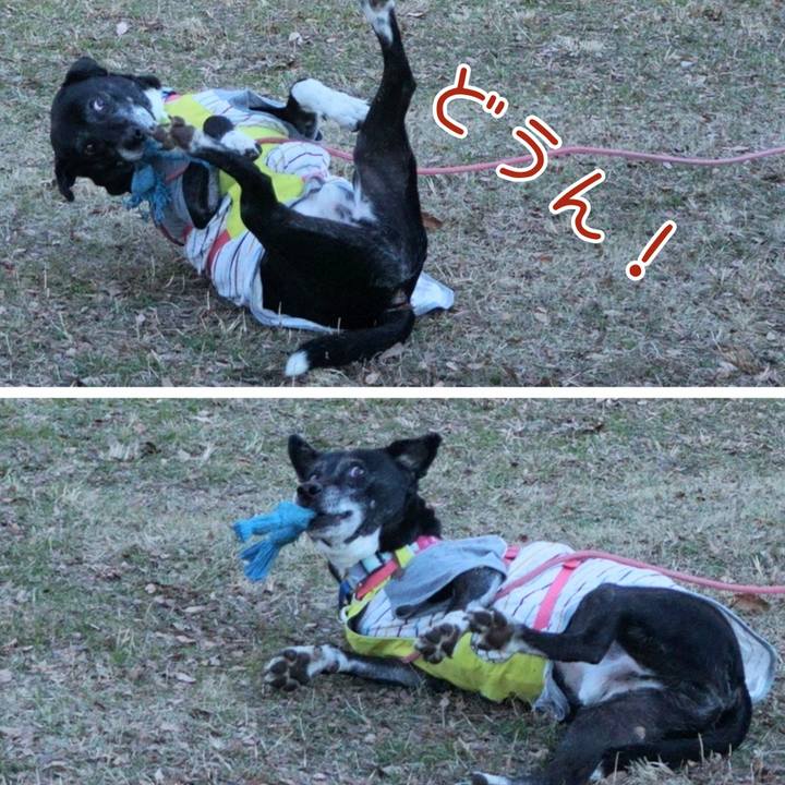 7e3f99f6 2372 4edb 8bd5 a99e99681fe0 1769043217952