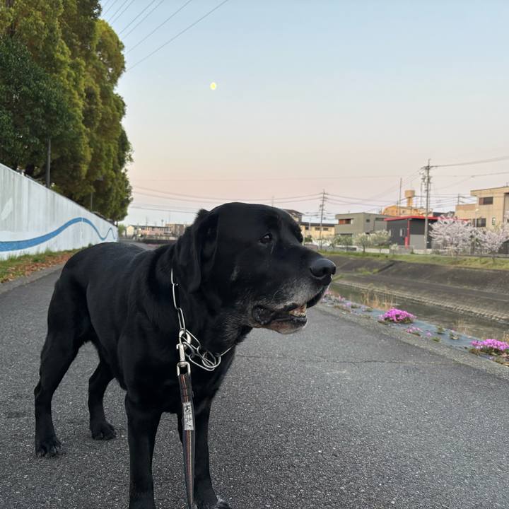 7e3fa1af c3f2 4f47 ad5a ff3f9e221e89 1775651419986