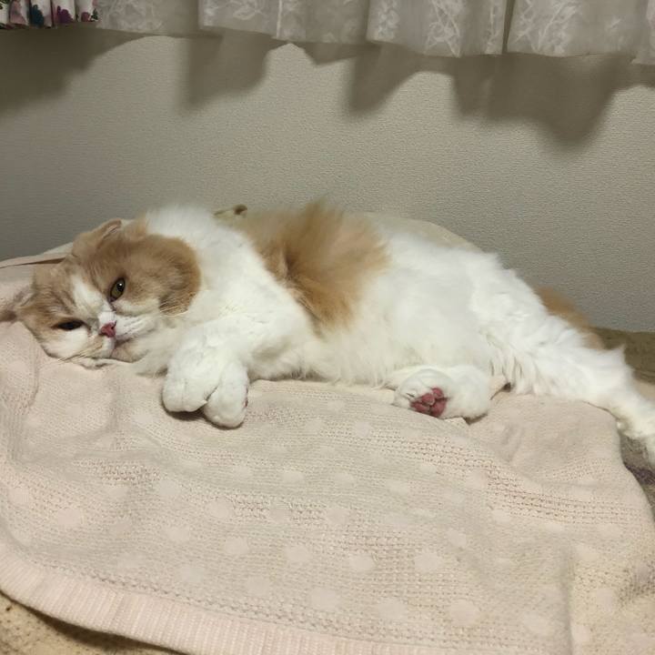 7e3fa49e c5e8 40e2 8326 98dbaff33c2a 1693223835184