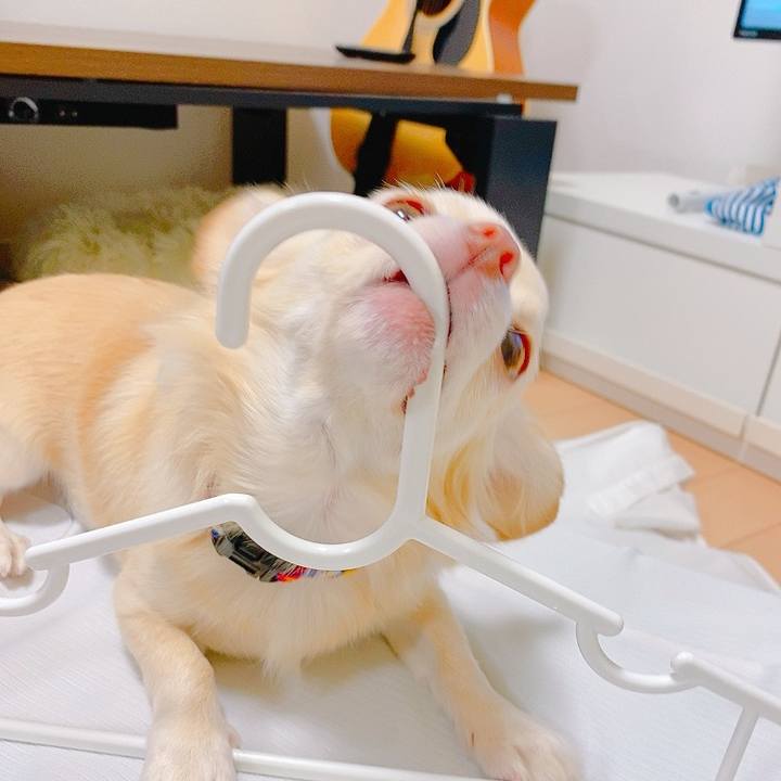 7e3fb4f2 42b5 46be b422 ba6f5c611551 1633082356846