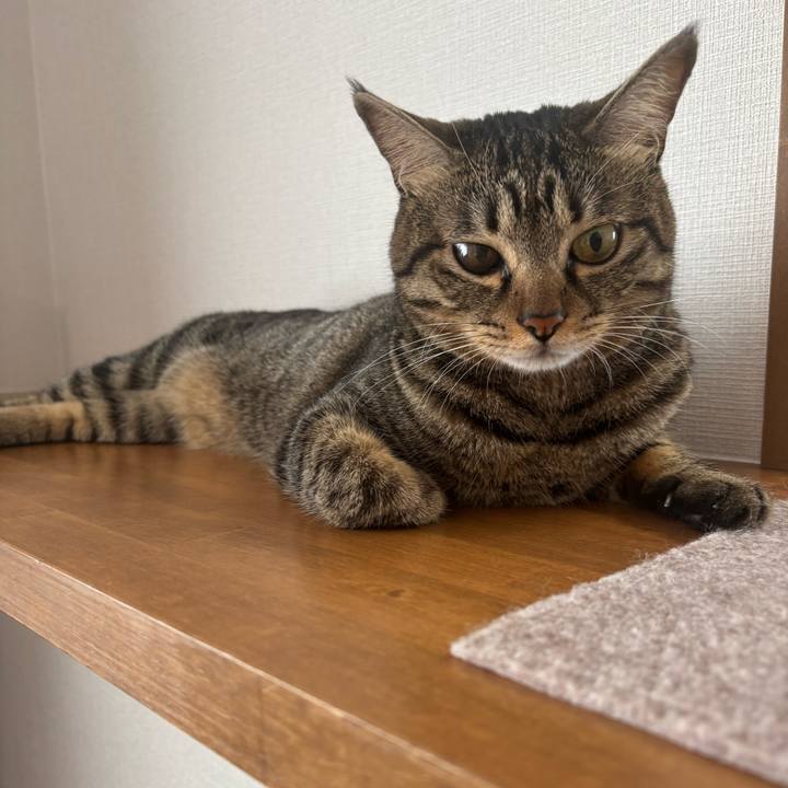 7e3fbac8 e02b 446f afa4 1b7816bd06ea 1758157870496