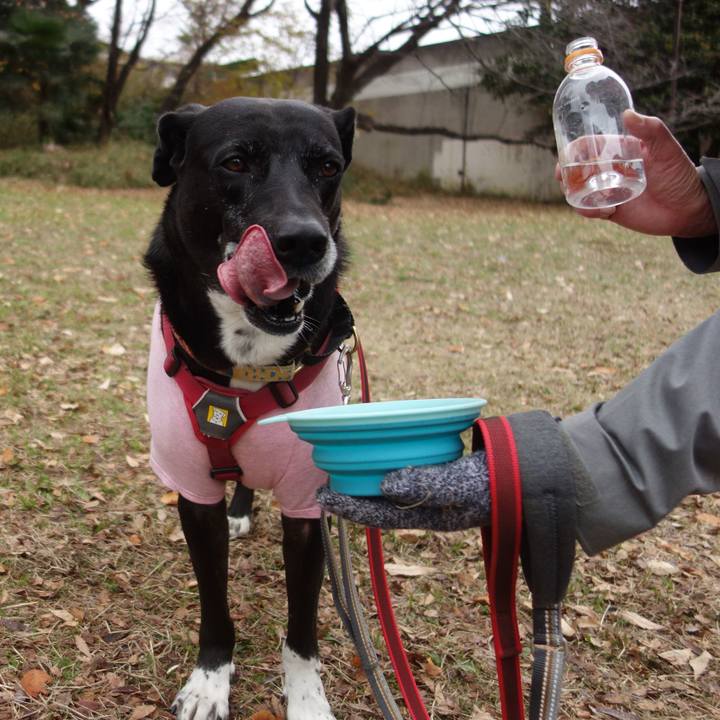 7e3fd0de 32a1 4071 899d a9dccb0ff7df 1702950022623