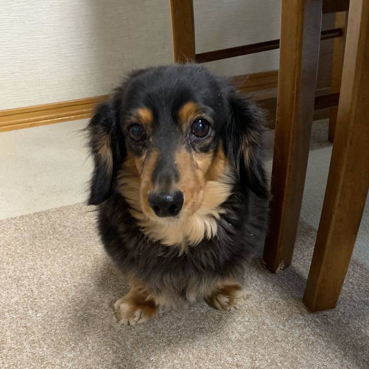 7e3fda24 5f06 4dba adb5 c6f3a8c7c531 1548108334284