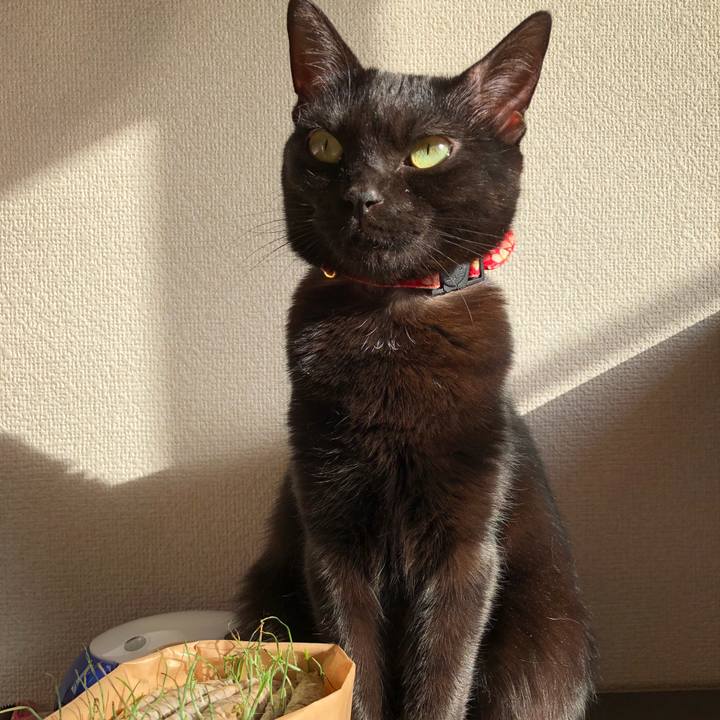 7e3fe693 ee81 41a1 a05c 1ba59660bd1c 1518738655337