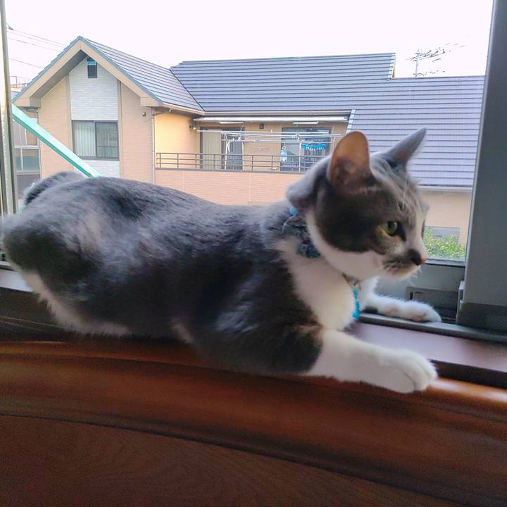 7e3fe96e bbf7 428a 902f 78ea0baf2d7a 1695160032152