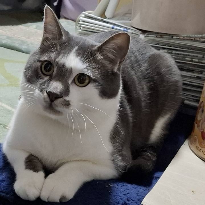 7e407f05 32a3 426b a158 9edcc963e2da 1743472314457