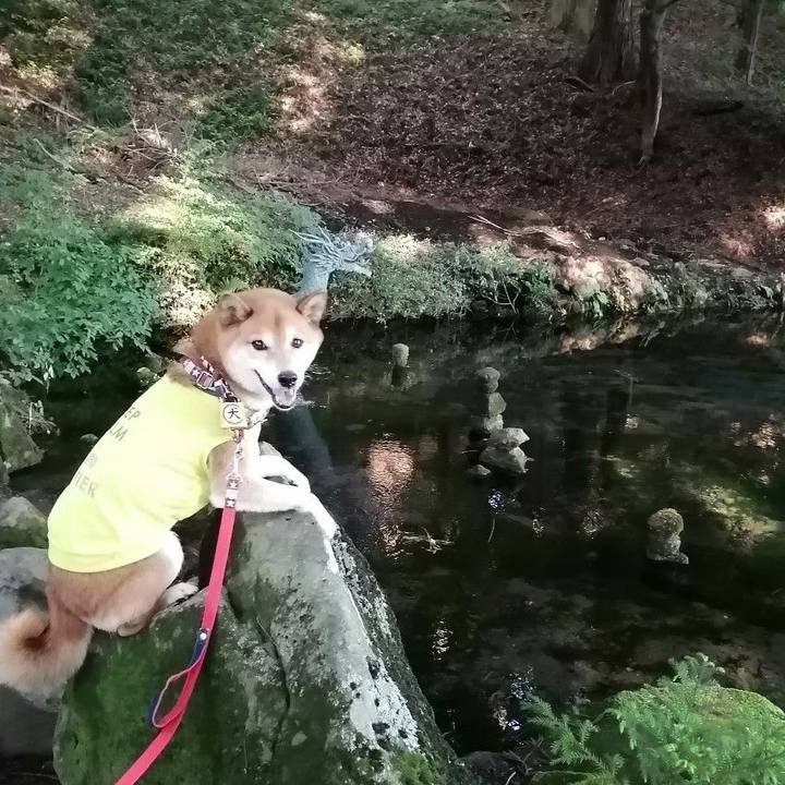 7e4084d4 f122 4ad3 903f 5ac8c63807d6 1687833133023