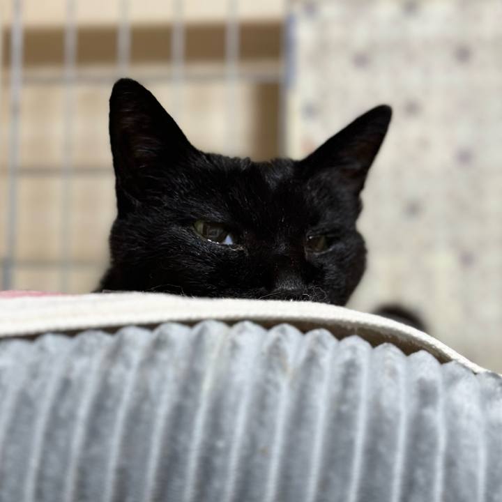 7e40a1fb 200d 4fc5 8b60 73c22dc3b8e2 1719626201517