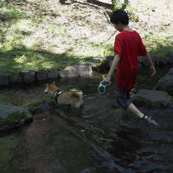 7e410557 a298 495d 96a9 c2c73197ca3d 1533036677060