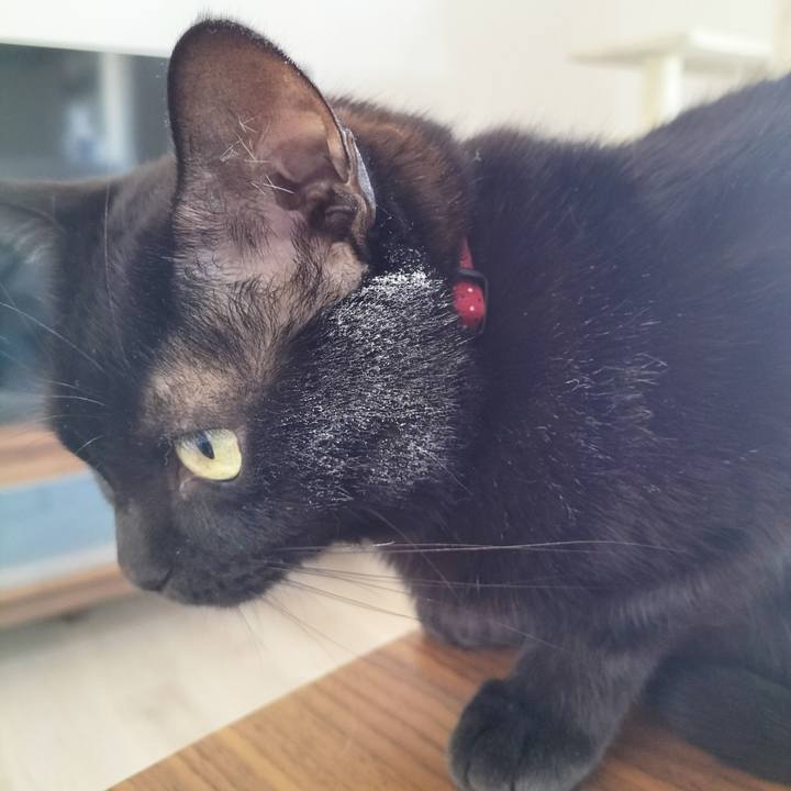 7e4113b5 bf5c 4405 8aca 44fea01b542a 1703210869473