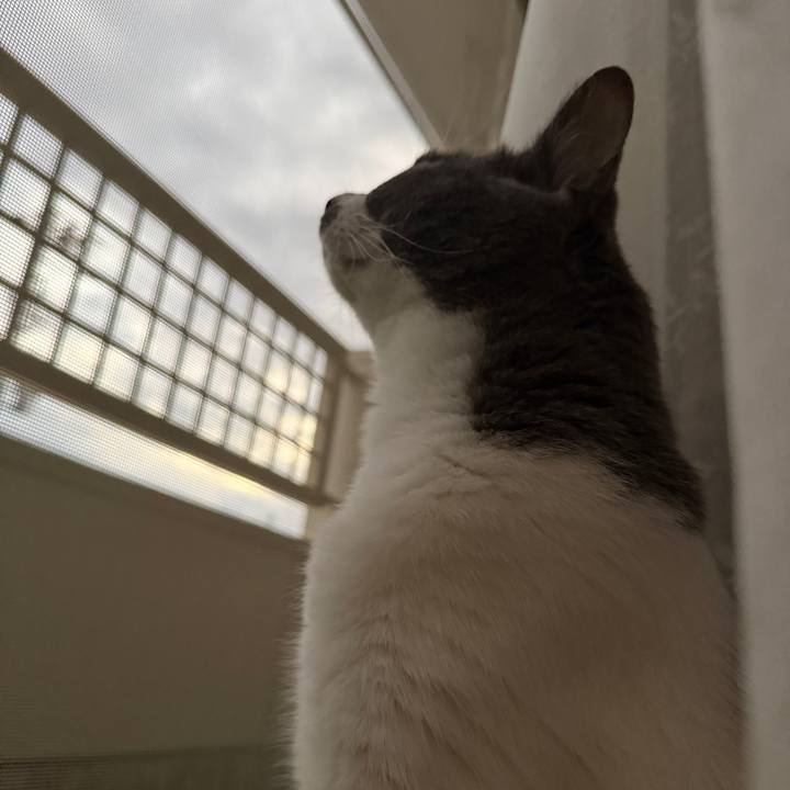 7e4119dc 4f7f 4572 887c e21e58701e1c 1760948588229