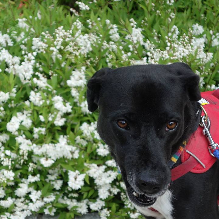 7e41c048 d697 44d6 bfe5 995872803318 1587690265647