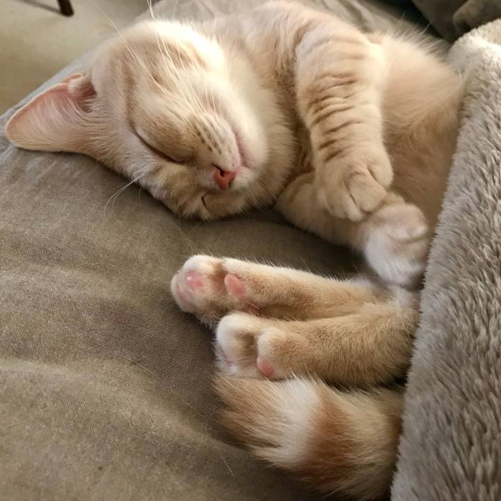 7e422f8f e04e 4aef 92cf 909c0922cbd6 1531909804340