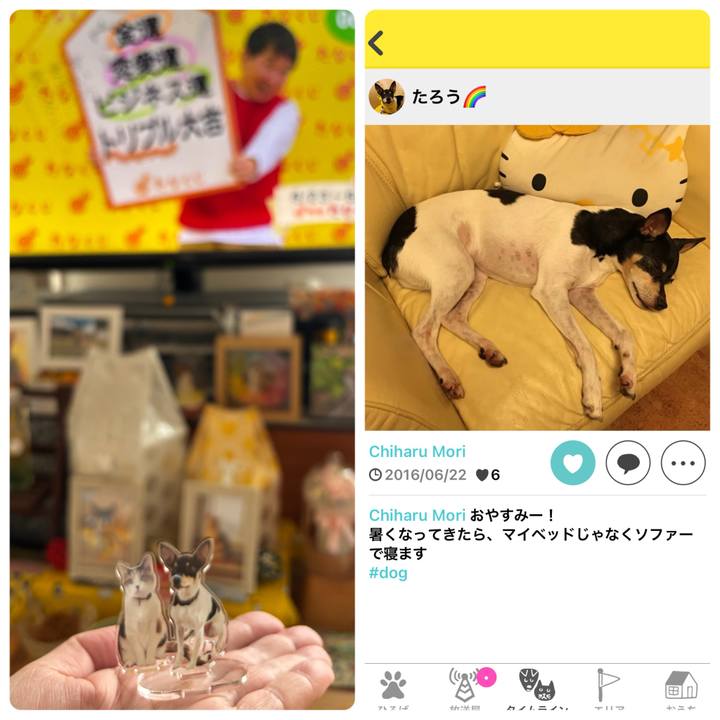 7e425109 57ab 4fdd 8eac 2ba0a39b01dc 1750633821355